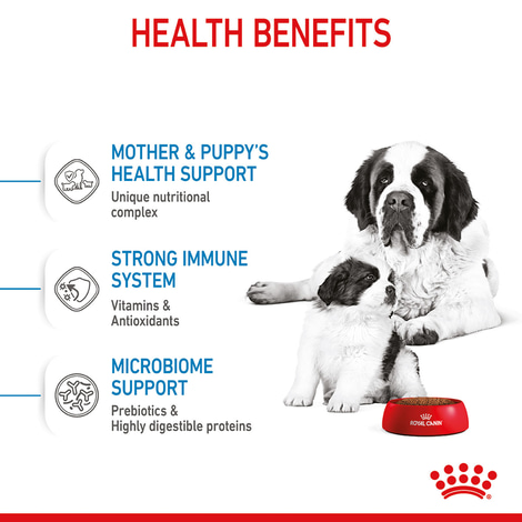 ROYAL CANIN GIANT Starter für tragende Hündin und Welpen sehr großer Rassen