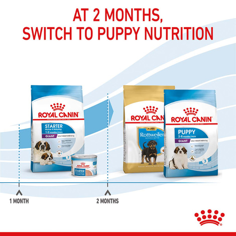 ROYAL CANIN GIANT Starter für tragende Hündin und Welpen sehr großer Rassen