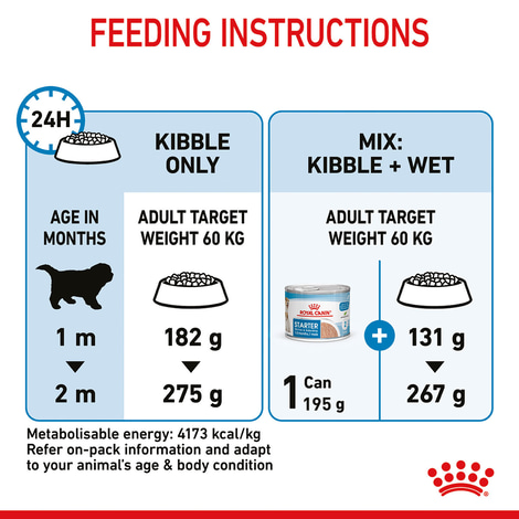 ROYAL CANIN GIANT Starter für tragende Hündin und Welpen sehr großer Rassen