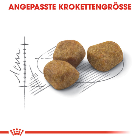 ROYAL CANIN INDOOR 7+ Trockenfutter für ältere Wohnungskatzen 3,5kg