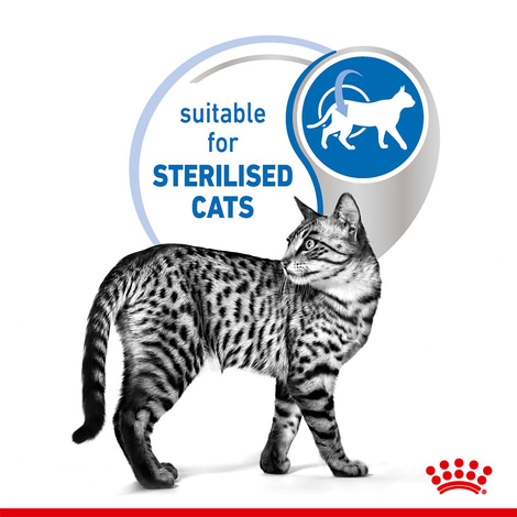 ROYAL CANIN INDOOR Sterilised in Gelee Nassfutter für Wohnungskatzen
