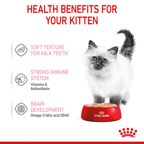 ROYAL CANIN KITTEN Nassfutter in Mousse für Kätzchen