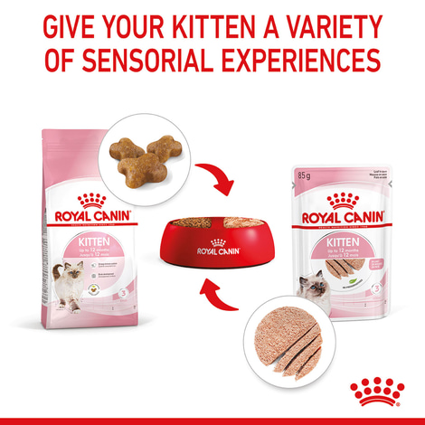 ROYAL CANIN KITTEN Nassfutter in Mousse für Kätzchen