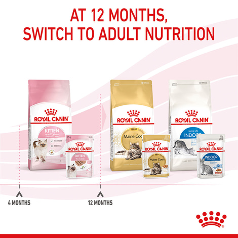 ROYAL CANIN KITTEN Nassfutter in Mousse für Kätzchen