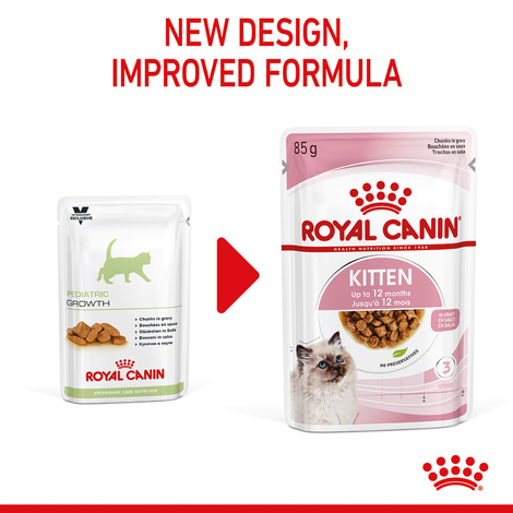 ROYAL CANIN KITTEN Nassfutter in Soße für Kätzchen