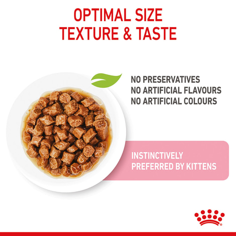 ROYAL CANIN KITTEN Nassfutter in Soße für Kätzchen