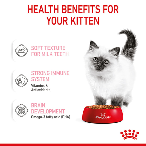 ROYAL CANIN KITTEN Nassfutter in Soße für Kätzchen