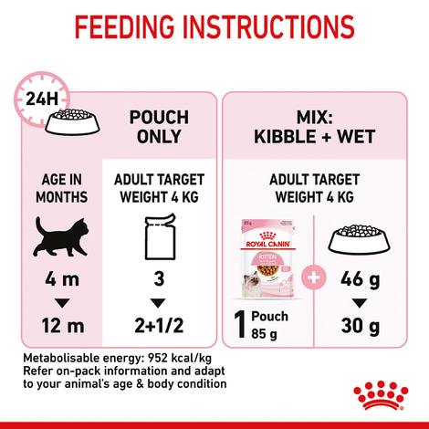 ROYAL CANIN KITTEN Nassfutter in Soße für Kätzchen
