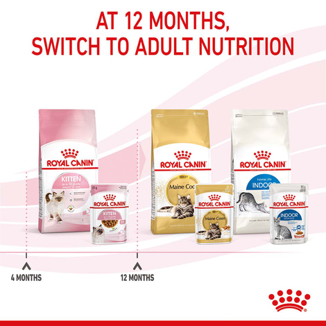 ROYAL CANIN KITTEN Nassfutter in Soße für Kätzchen