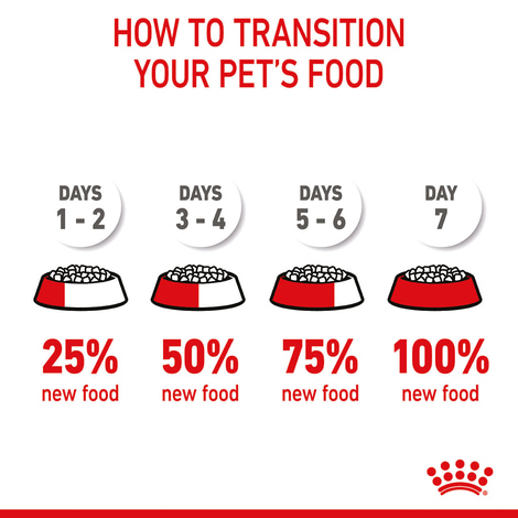 ROYAL CANIN KITTEN Sterilised Kittenfutter für kastrierte Kätzchen 3,5kg