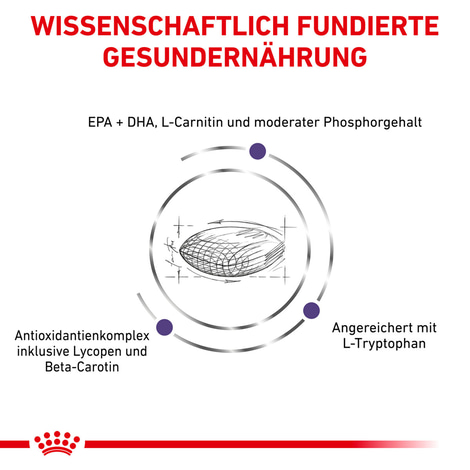 ROYAL CANIN® Expert MATURE CONSULT MEDIUM DOGS Trockenfutter für Hunde