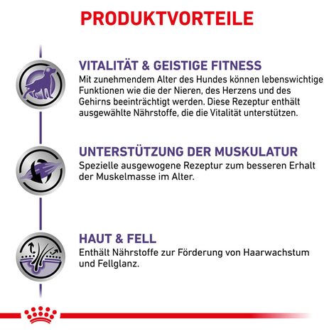 ROYAL CANIN® Expert MATURE CONSULT MEDIUM DOGS Trockenfutter für Hunde