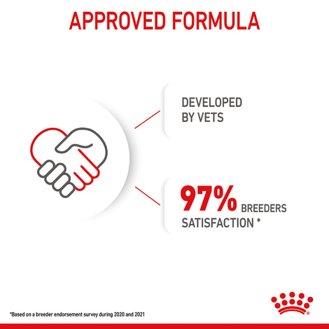 ROYAL CANIN MAXI Puppy Trockenfutter für Welpen großer Rassen