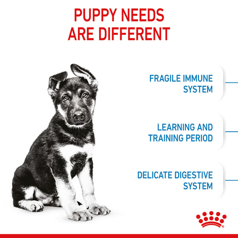 ROYAL CANIN MAXI Puppy Trockenfutter für Welpen großer Rassen