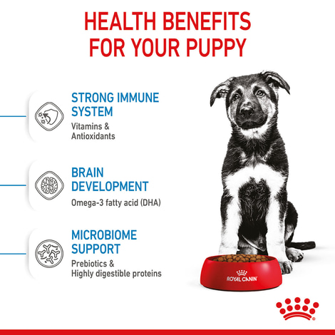 ROYAL CANIN MAXI Puppy Trockenfutter für Welpen großer Rassen
