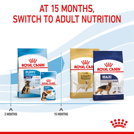 ROYAL CANIN MAXI Puppy Trockenfutter für Welpen großer Rassen