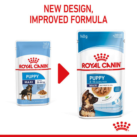 ROYAL CANIN MAXI PUPPY Welpenfutter nass für große Hunde