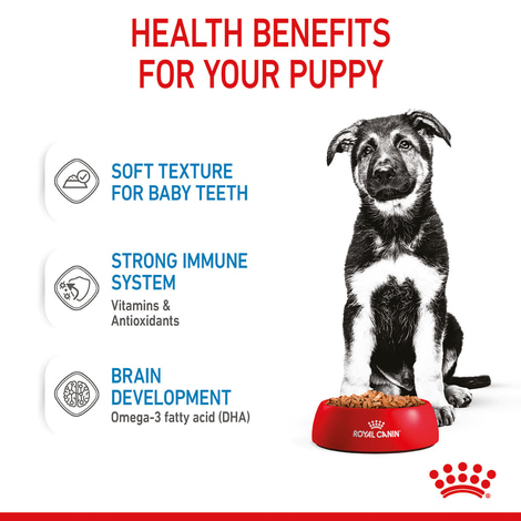 ROYAL CANIN MAXI PUPPY Welpenfutter nass für große Hunde