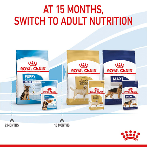 ROYAL CANIN MAXI PUPPY Welpenfutter nass für große Hunde