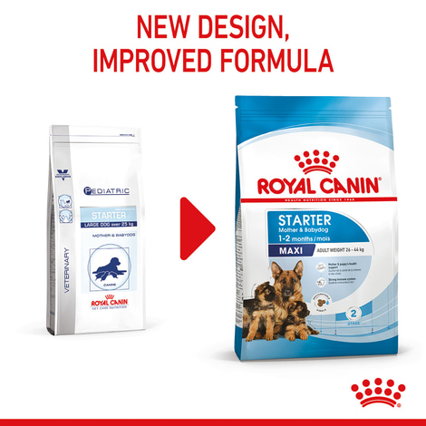 ROYAL CANIN MAXI Starter für tragende Hündin und Welpen großer Rassen