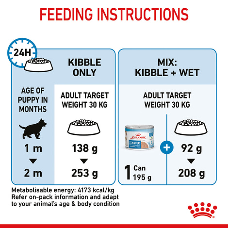ROYAL CANIN MAXI Starter für tragende Hündin und Welpen großer Rassen