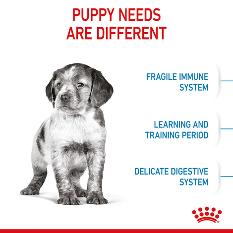 ROYAL CANIN MEDIUM Puppy Trockenfutter für Welpen mittelgroßer Hunderassen
