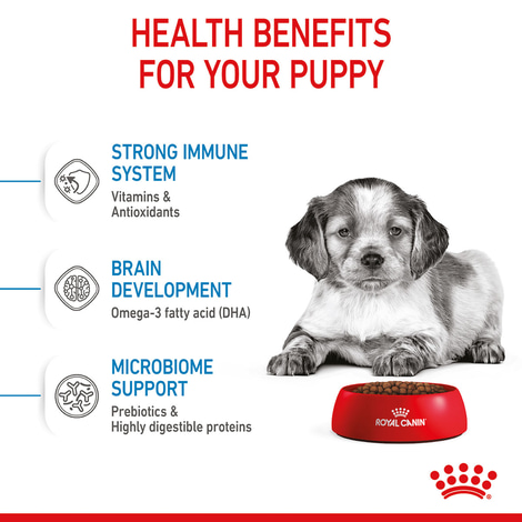 ROYAL CANIN MEDIUM Puppy Trockenfutter für Welpen mittelgroßer Hunderassen