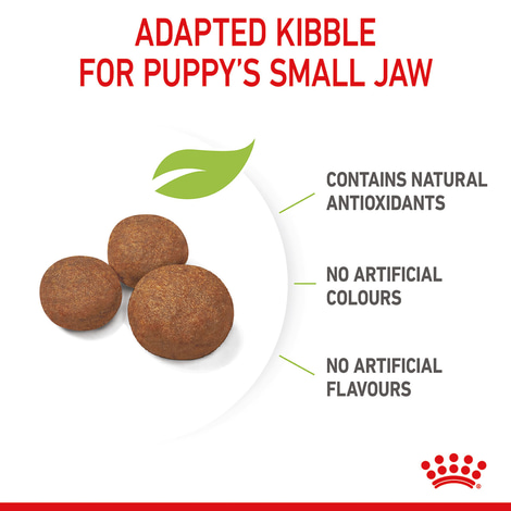 ROYAL CANIN MEDIUM Puppy Trockenfutter für Welpen mittelgroßer Hunderassen