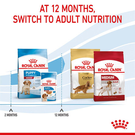 ROYAL CANIN MEDIUM Puppy Trockenfutter für Welpen mittelgroßer Hunderassen