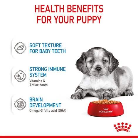 ROYAL CANIN MEDIUM PUPPY Welpenfutter nass für mittelgroße Hunde