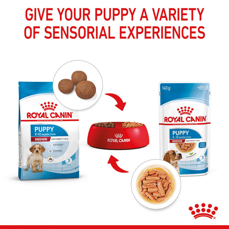 ROYAL CANIN MEDIUM PUPPY Welpenfutter nass für mittelgroße Hunde