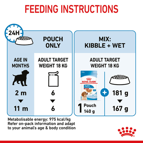 ROYAL CANIN MEDIUM PUPPY Welpenfutter nass für mittelgroße Hunde