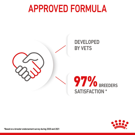 ROYAL CANIN MINI Puppy Trockenfutter für Welpen kleiner Hunderassen