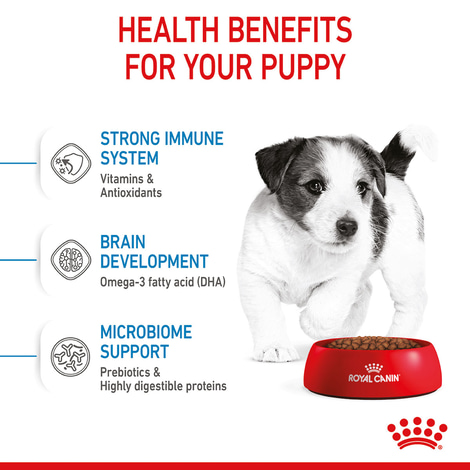ROYAL CANIN MINI Puppy Trockenfutter für Welpen kleiner Hunderassen