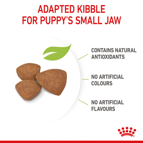 ROYAL CANIN MINI Puppy Trockenfutter für Welpen kleiner Hunderassen