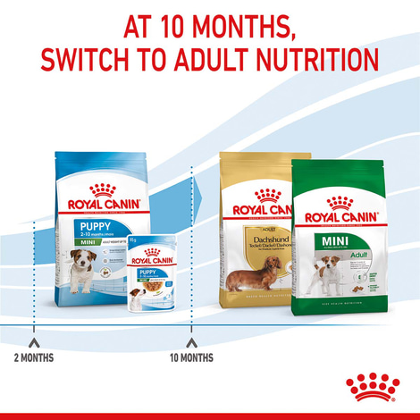 ROYAL CANIN MINI Puppy Trockenfutter für Welpen kleiner Hunderassen