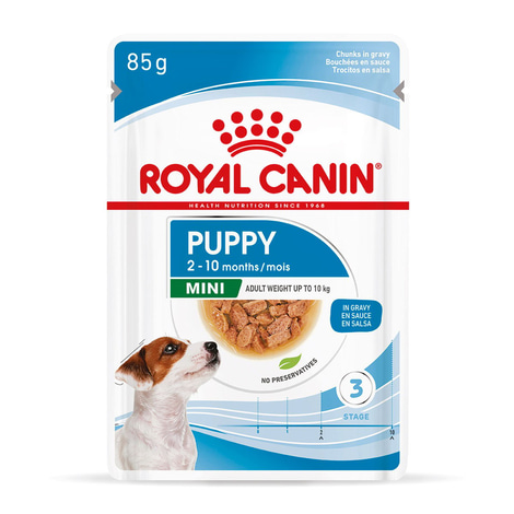ROYAL CANIN Mini Puppy Welpenfutter Nass für kleine Hunde