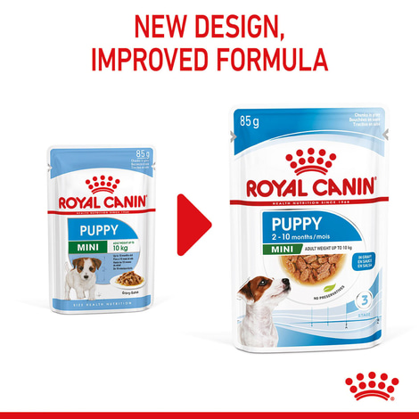 ROYAL CANIN Mini Puppy Welpenfutter Nass für kleine Hunde