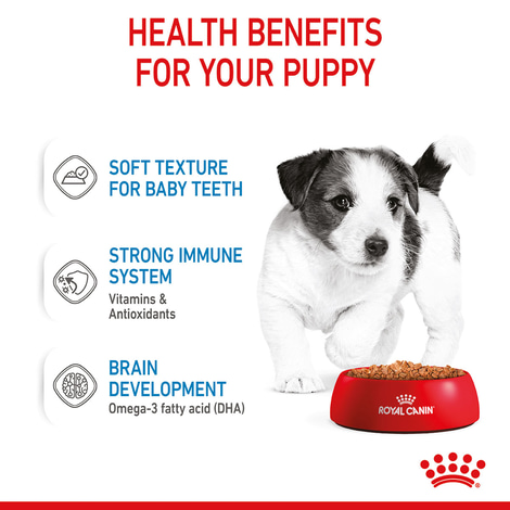 ROYAL CANIN Mini Puppy Welpenfutter Nass für kleine Hunde