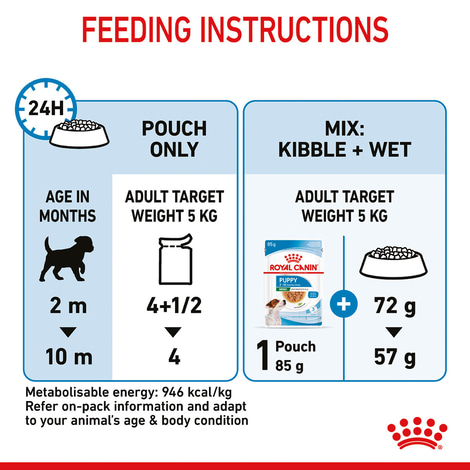 ROYAL CANIN Mini Puppy Welpenfutter Nass für kleine Hunde