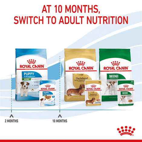 ROYAL CANIN Mini Puppy Welpenfutter Nass für kleine Hunde
