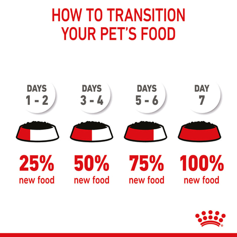 ROYAL CANIN Mini Puppy Welpenfutter Nass für kleine Hunde