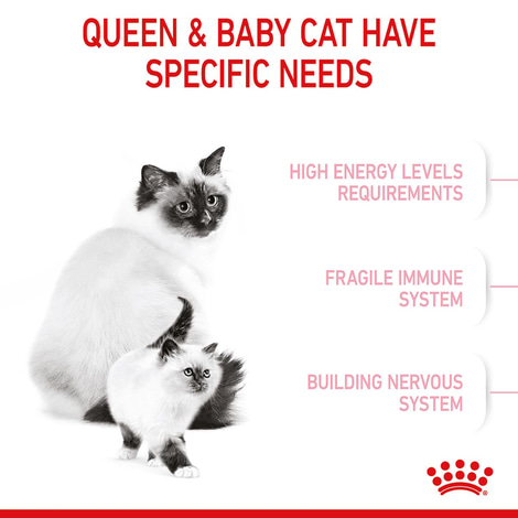 ROYAL CANIN MOTHER & BABYCAT Katzenfutter für tragende Katzen und Kitten