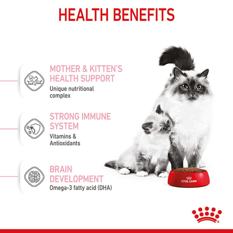 ROYAL CANIN MOTHER & BABYCAT Katzenfutter für tragende Katzen und Kitten