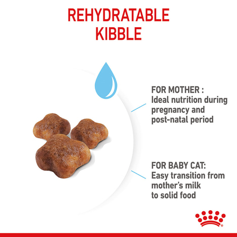 ROYAL CANIN MOTHER & BABYCAT Katzenfutter für tragende Katzen und Kitten