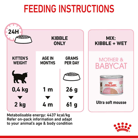 ROYAL CANIN MOTHER & BABYCAT Katzenfutter für tragende Katzen und Kitten