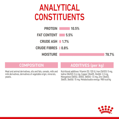 ROYAL CANIN MOTHER & BABYCAT Mousse für tragende Katzen und Kitten