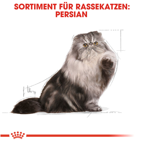 ROYAL CANIN Persian Adult Katzenfutter nass für Perser-Katzen