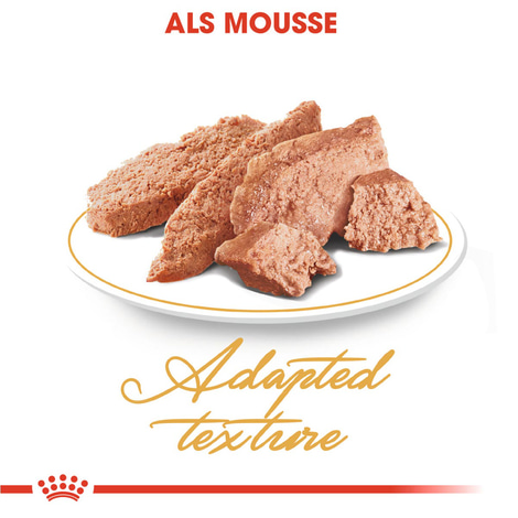ROYAL CANIN Persian Adult Katzenfutter nass für Perser-Katzen