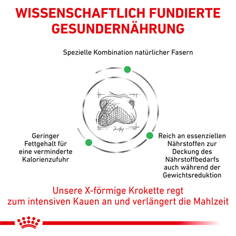 ROYAL CANIN® Veterinary SATIETY WEIGHT MANAGEMENT Trockenfutter für Hunde